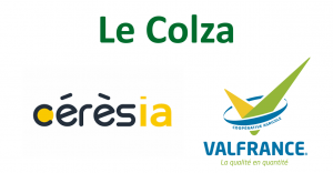 La filière Colza avec Cérésia et Val France